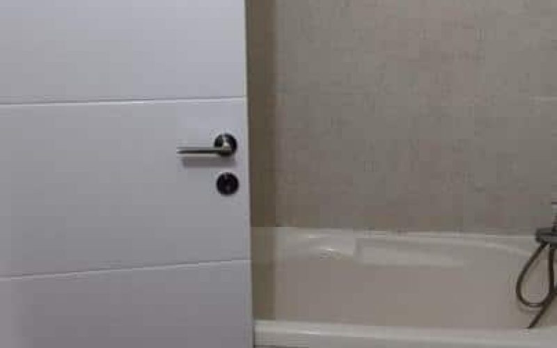 481618254